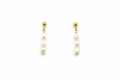 Cove Pearl Studs